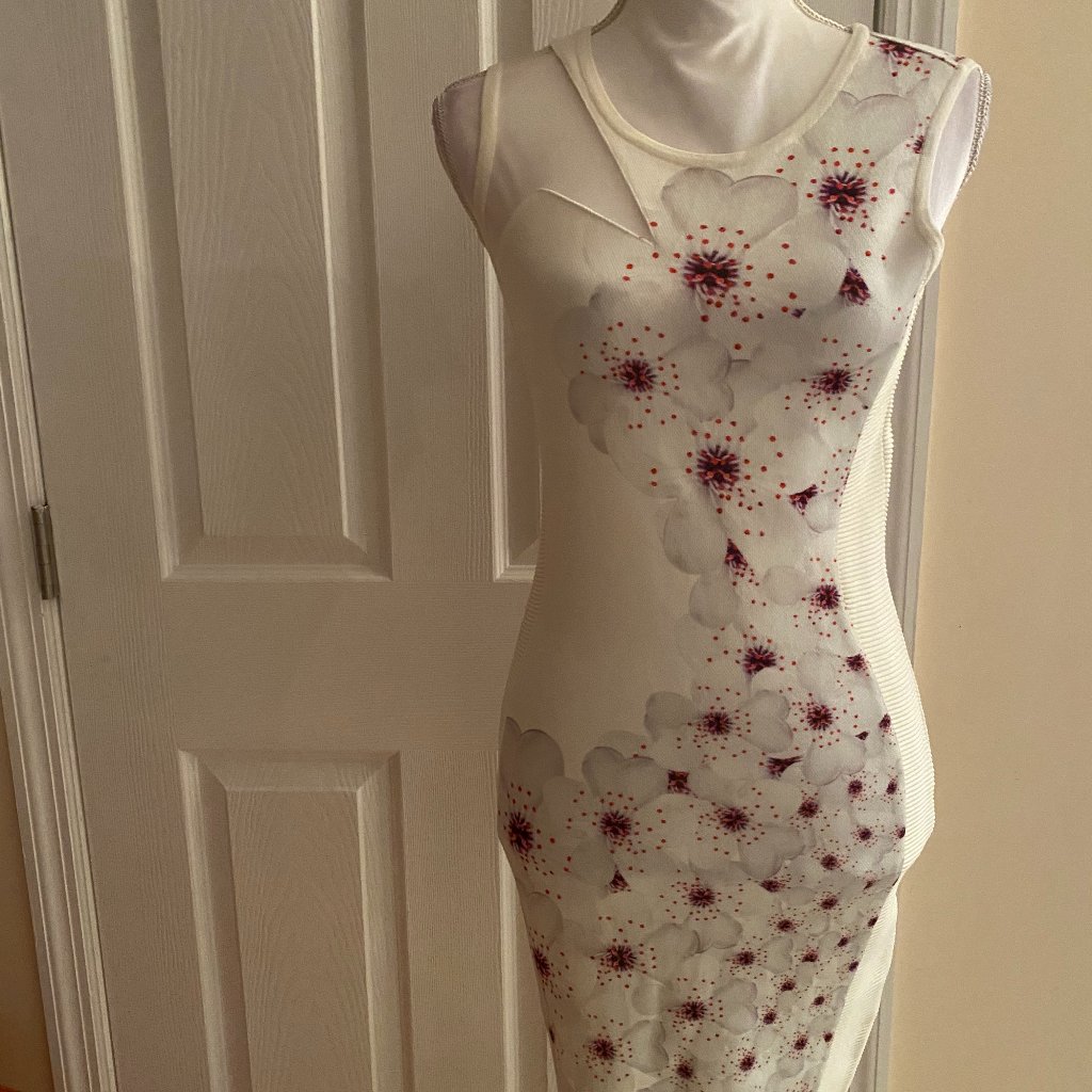 Elegant Brand New Waggon Paris Dress